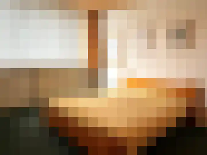 Aalsburg 1604 Wijchen thumbnail 20