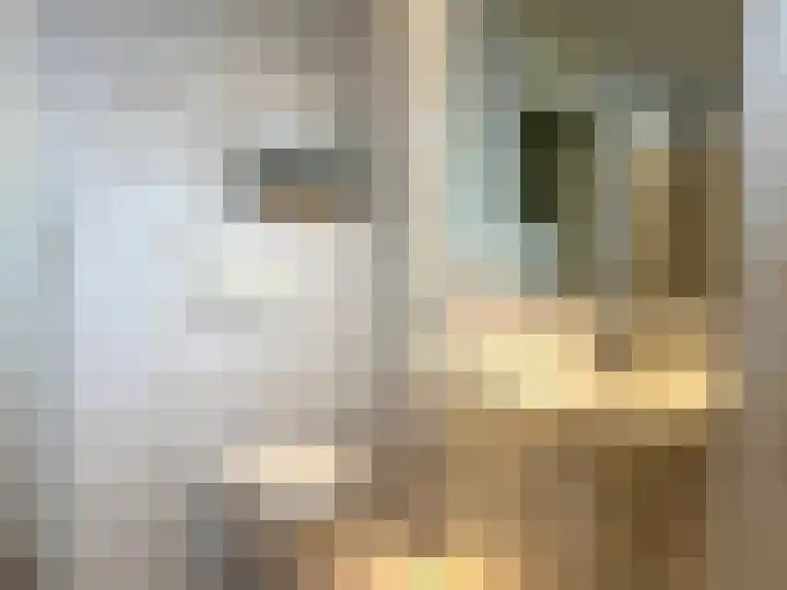 Aalsburg 1604 Wijchen thumbnail 21