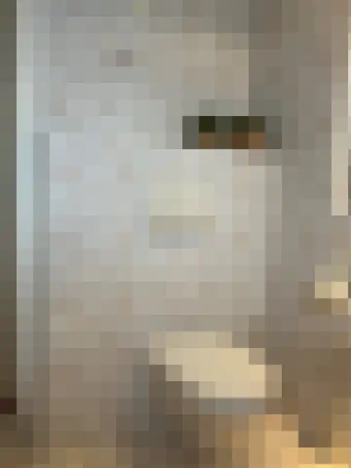 Aalsburg 1604 Wijchen thumbnail 22