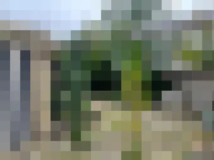 Aalsburg 1604 Wijchen thumbnail 29