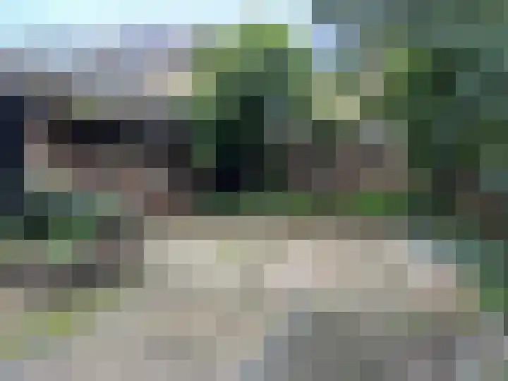 Aalsburg 1604 Wijchen thumbnail 31