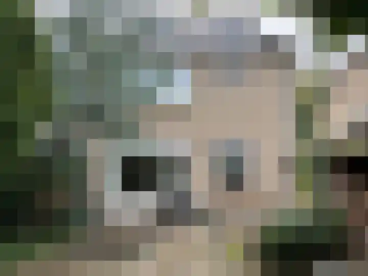 Aalsburg 1604 Wijchen thumbnail 32