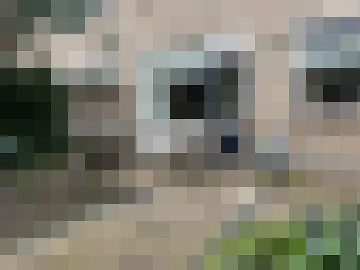 Aalsburg 1604 Wijchen thumbnail 33