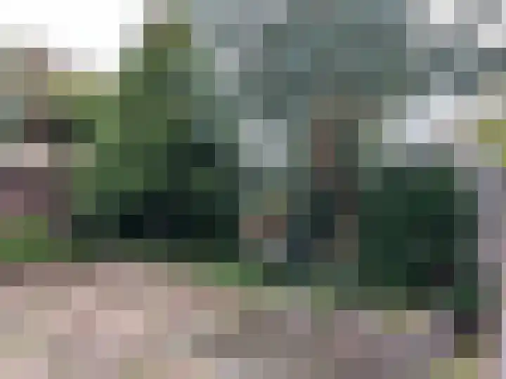 Aalsburg 1604 Wijchen thumbnail 34