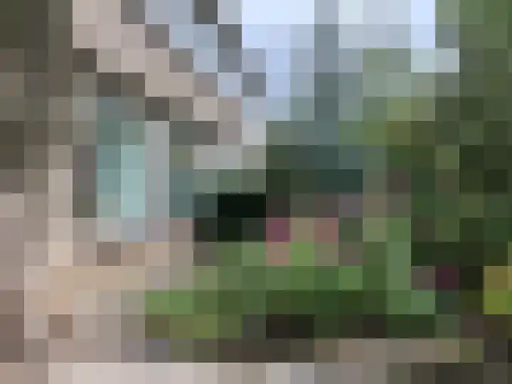 Aalsburg 1604 Wijchen thumbnail 35