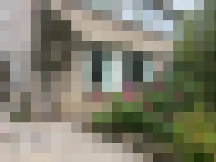 Aalsburg 1604 Wijchen thumbnail 37