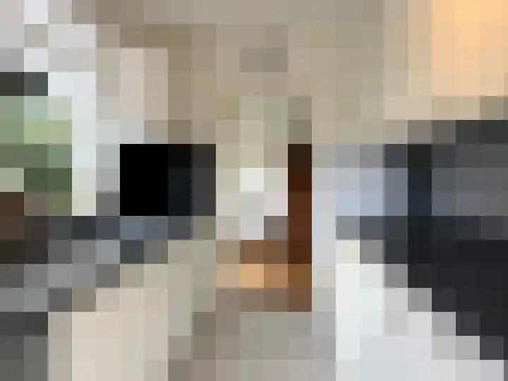 Aalsburg 1604 Wijchen thumbnail 4