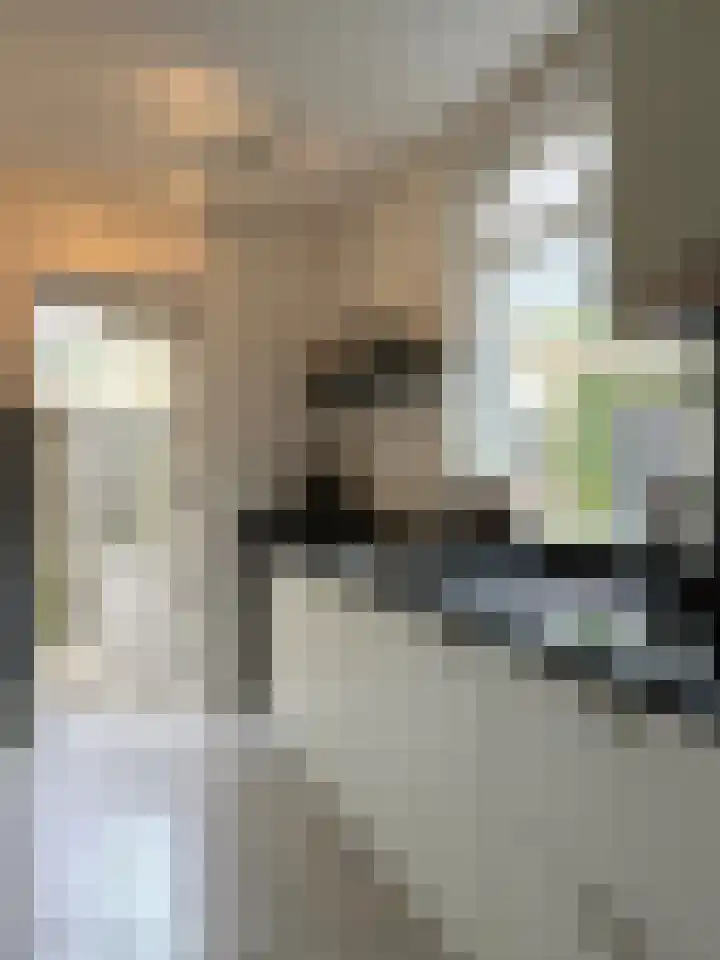 Aalsburg 1604 Wijchen thumbnail 5