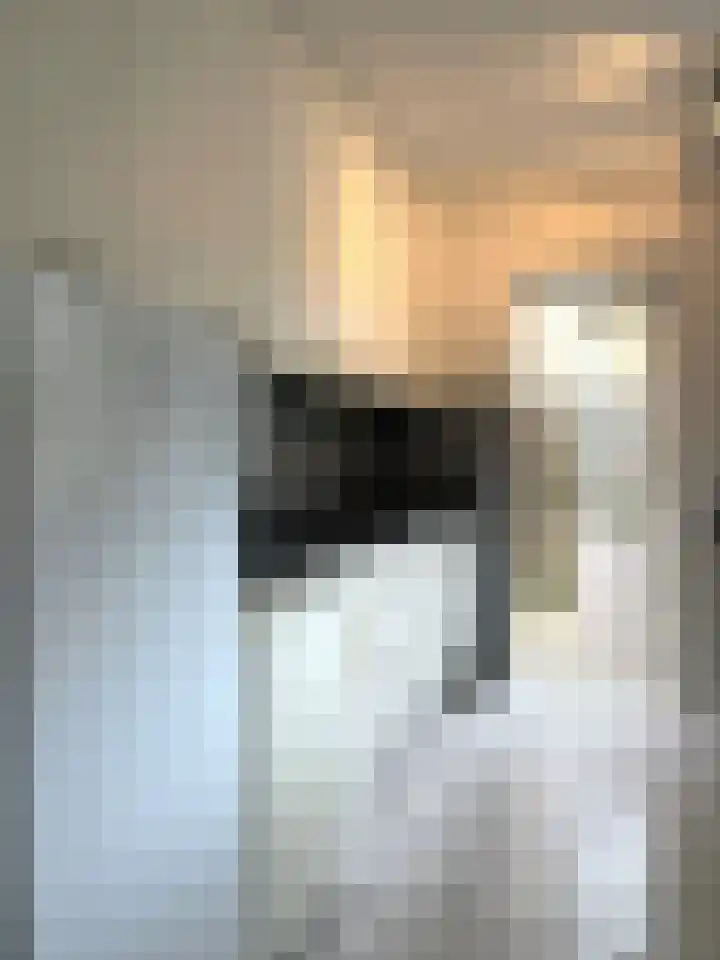 Aalsburg 1604 Wijchen thumbnail 6