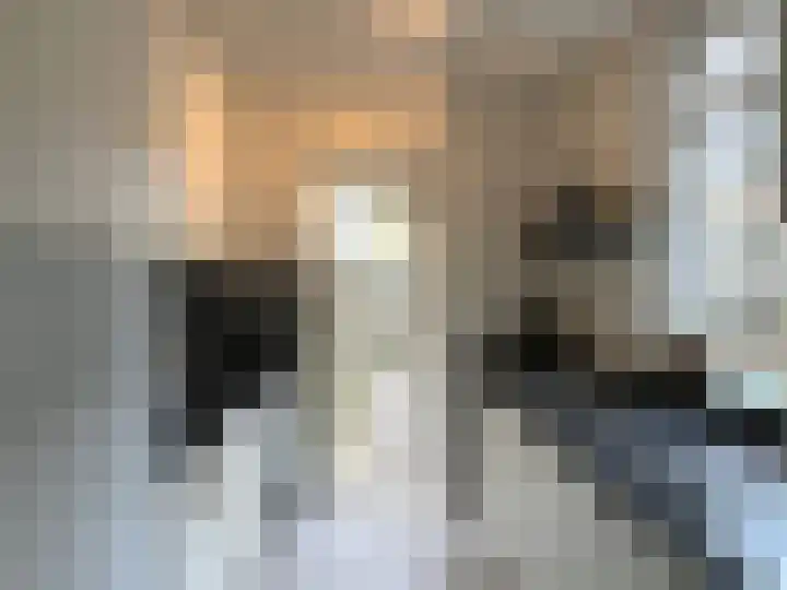 Aalsburg 1604 Wijchen thumbnail 7