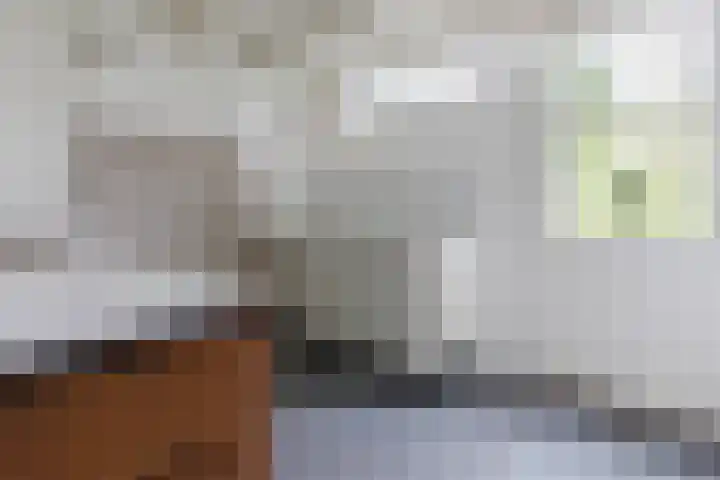 Aalsburg 1704 Wijchen thumbnail 12
