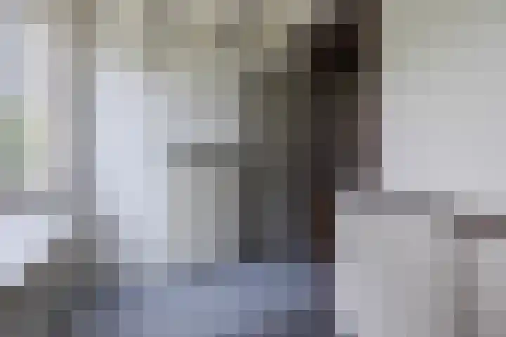 Aalsburg 1704 Wijchen thumbnail 13