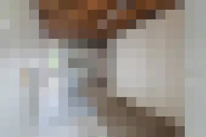 Aalsburg 1704 Wijchen thumbnail 14