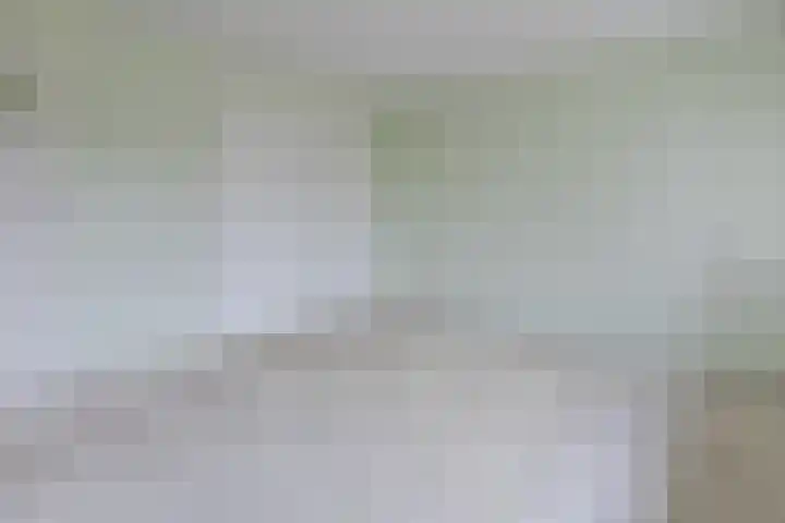 Aalsburg 1704 Wijchen thumbnail 23