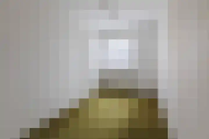 Aalsburg 1704 Wijchen thumbnail 29