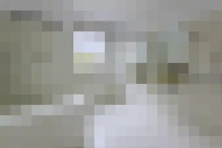 Aalsburg 1704 Wijchen thumbnail 31