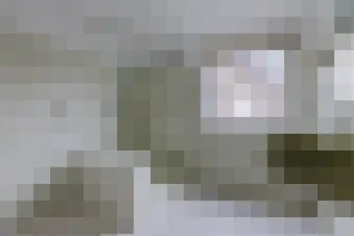 Aalsburg 1704 Wijchen thumbnail 32