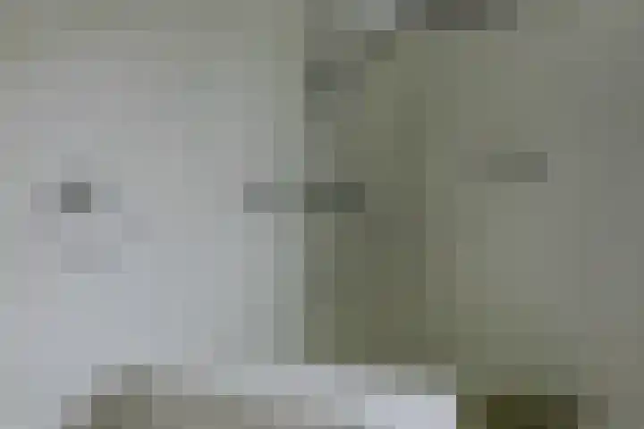 Aalsburg 1704 Wijchen thumbnail 33