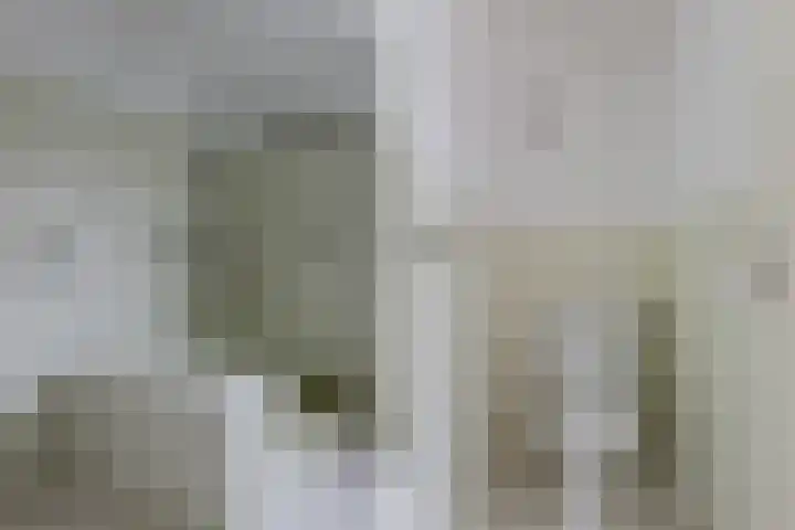 Aalsburg 1704 Wijchen thumbnail 36