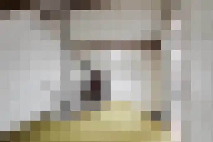 Aalsburg 1704 Wijchen thumbnail 40