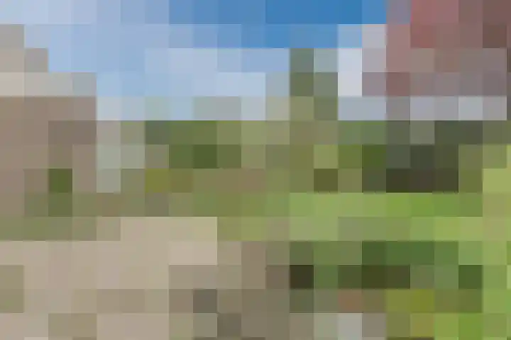 Aalsburg 1704 Wijchen thumbnail 42
