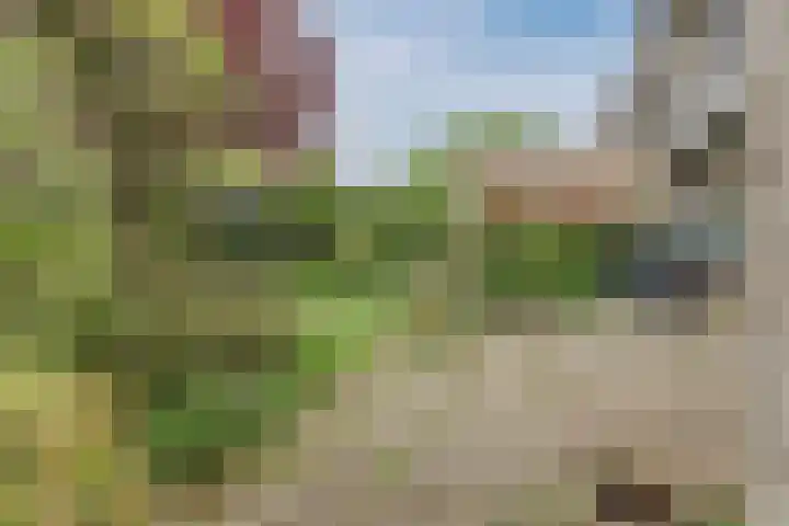 Aalsburg 1704 Wijchen thumbnail 43