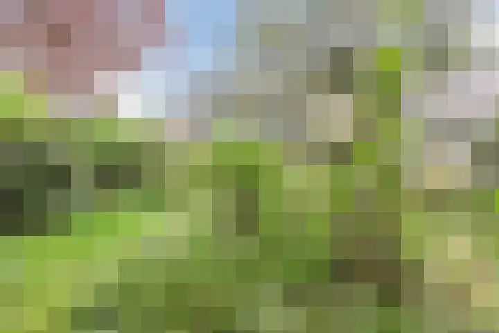Aalsburg 1704 Wijchen thumbnail 44