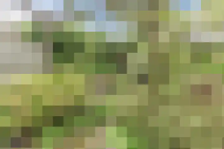 Aalsburg 1704 Wijchen thumbnail 45
