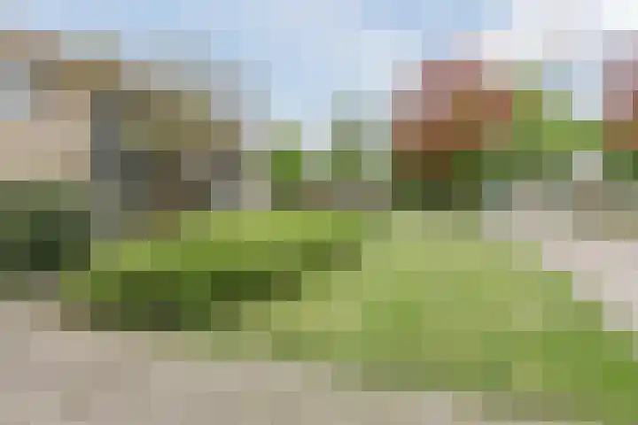 Aalsburg 1704 Wijchen thumbnail 6