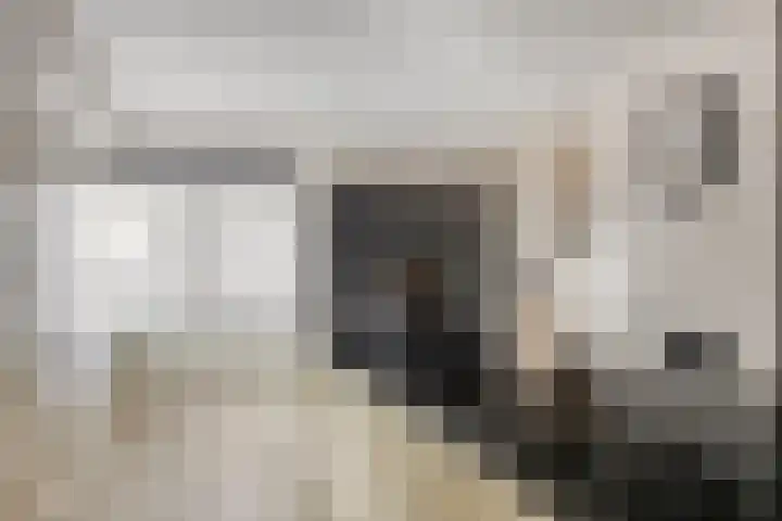 Aalsburg 1709 Wijchen thumbnail 11