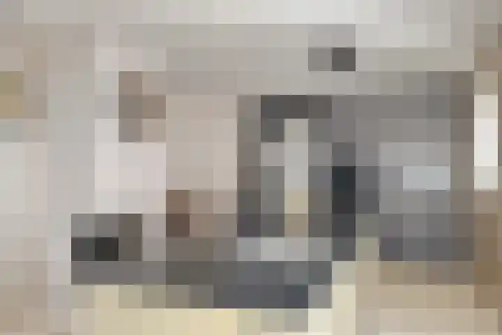 Aalsburg 1709 Wijchen thumbnail 12