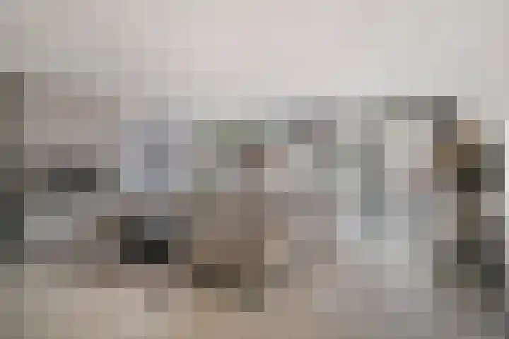 Aalsburg 1709 Wijchen thumbnail 4