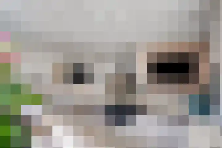 Aalsburg 1709 Wijchen thumbnail 7
