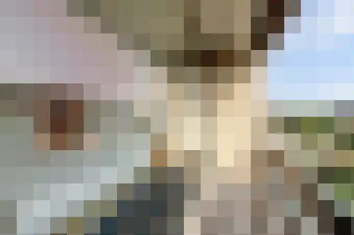 Aalsburg 1718 Wijchen thumbnail 23