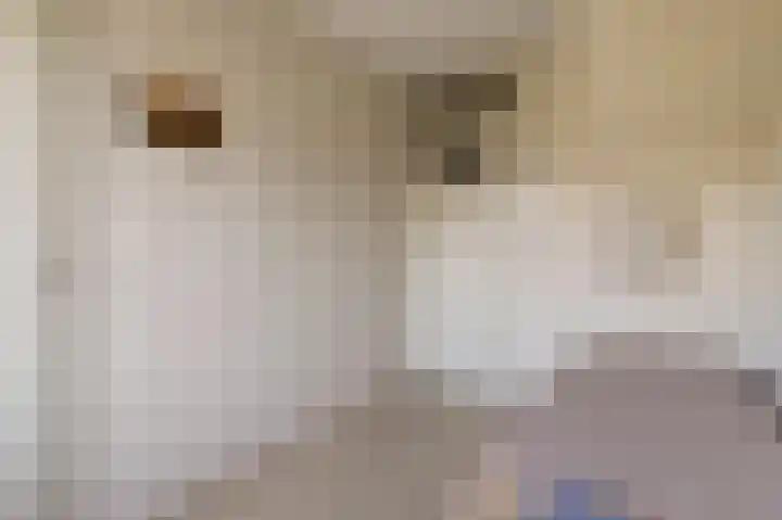 Aalsburg 1718 Wijchen thumbnail 30
