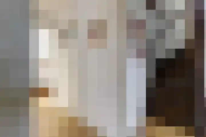 Aalsburg 1718 Wijchen thumbnail 36
