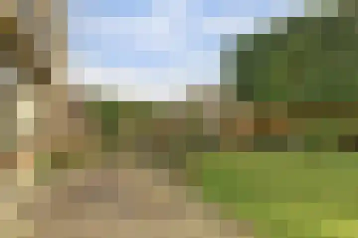 Aalsburg 1718 Wijchen thumbnail 46