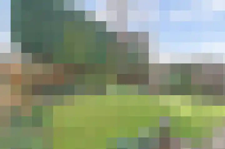 Aalsburg 1718 Wijchen thumbnail 47