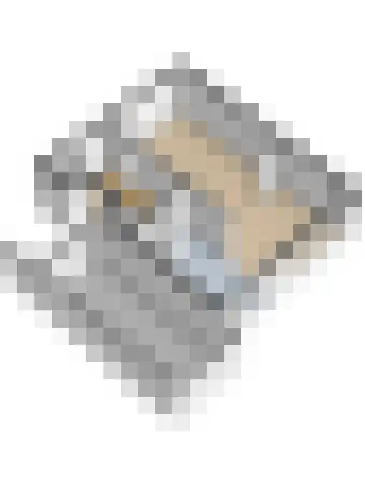 Aalsburg 1718 Wijchen thumbnail 56