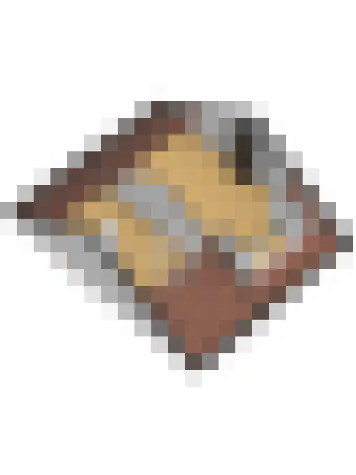 Aalsburg 1718 Wijchen thumbnail 60
