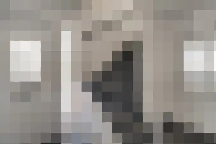 Aalsburg 2001 Wijchen thumbnail 4