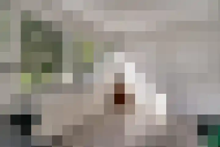 Aalsburg 2001 Wijchen thumbnail 44