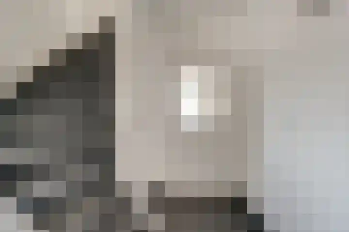 Aalsburg 2001 Wijchen thumbnail 5