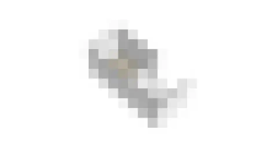 Aalsburg 2211 Wijchen thumbnail 58