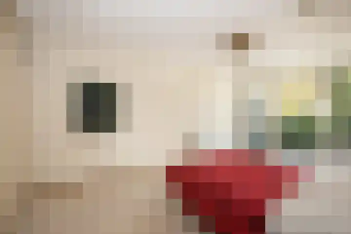 Aalsburg 2314 Wijchen thumbnail 19