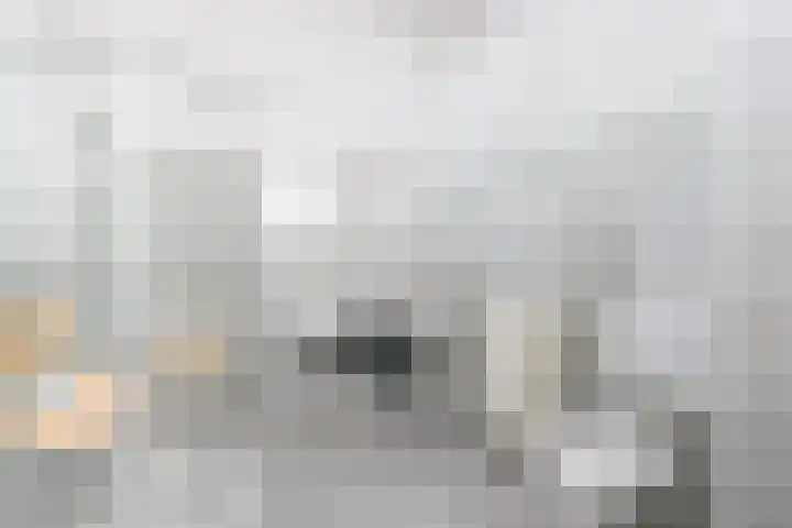 Aalsburg 2314 Wijchen thumbnail 21