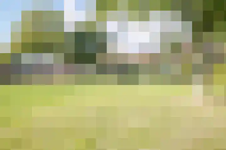 Aalsburg 2314 Wijchen thumbnail 34