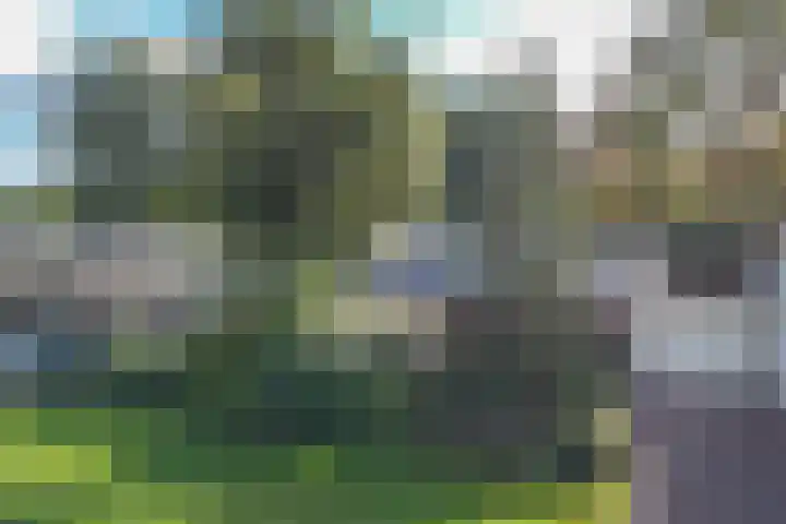 Aalsburg 2314 Wijchen thumbnail 36