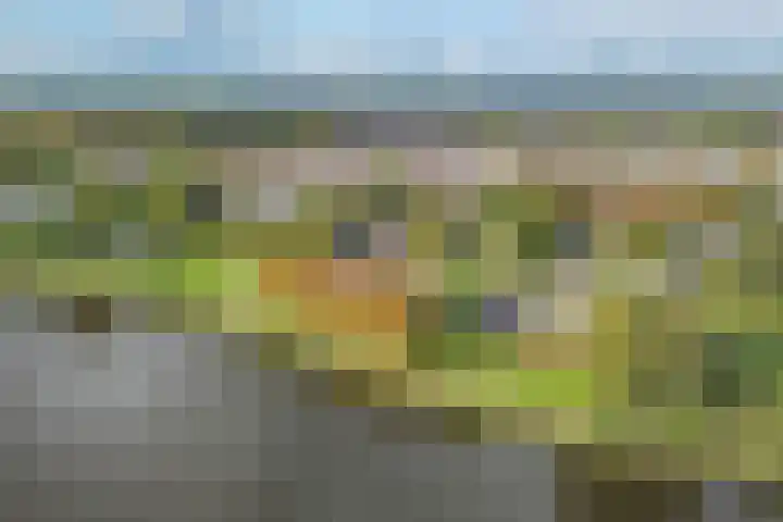 Aalsburg 2314 Wijchen thumbnail 39