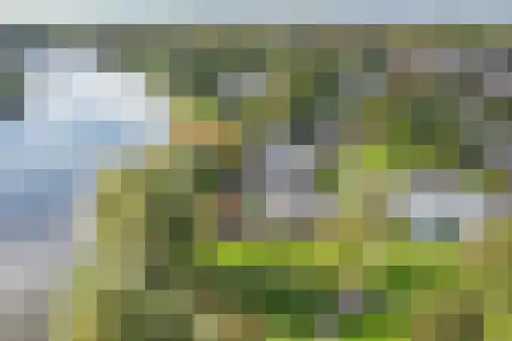 Aalsburg 2314 Wijchen thumbnail 40